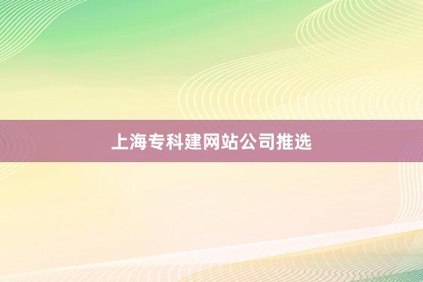 上海专科建网站公司推选