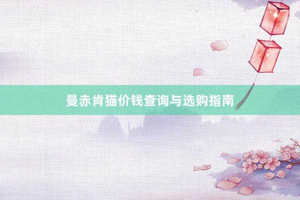 曼赤肯猫价钱查询与选购指南
