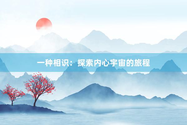 一种相识：探索内心宇宙的旅程